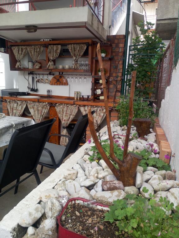 Zemunella Guest House تْشيرسيك نوفي المظهر الخارجي الصورة